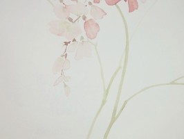 Garden Diary 花園手札 壁紙  CY10501