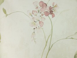 Garden Diary 花園手札 壁紙  CY10519