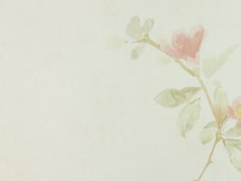 Garden Diary 花園手札 壁紙  CY10801
