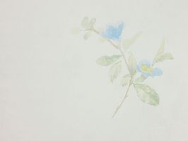Garden Diary 花園手札 壁紙  CY10802