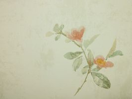 Garden Diary 花園手札 壁紙  CY10804