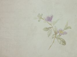 Garden Diary 花園手札 壁紙  CY10809
