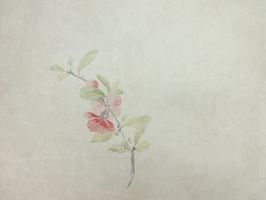 Garden Diary 花園手札 壁紙  CY10811