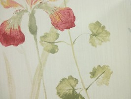 Garden Diary 花園手札 壁紙  CY11500