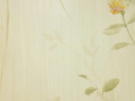 Garden Diary 花園手札 壁紙  CY11501