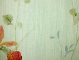 Garden Diary 花園手札 壁紙  CY11504