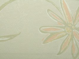 SaKuRa 山克拉 壁紙 5-71431