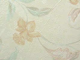 SaKuRa 山克拉 壁紙  30-71403