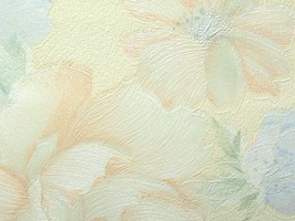 SaKuRa 山克拉 壁紙  39-71271