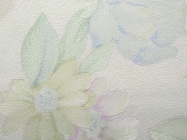 SaKuRa 山克拉 壁紙  42-71272