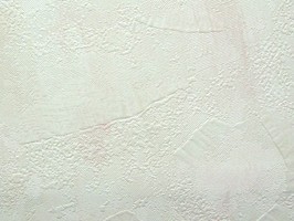 SaKuRa 山克拉 壁紙  46-71151